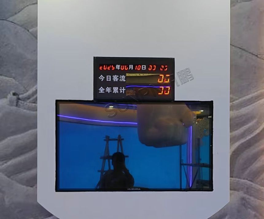 讯鹏客流统计系统