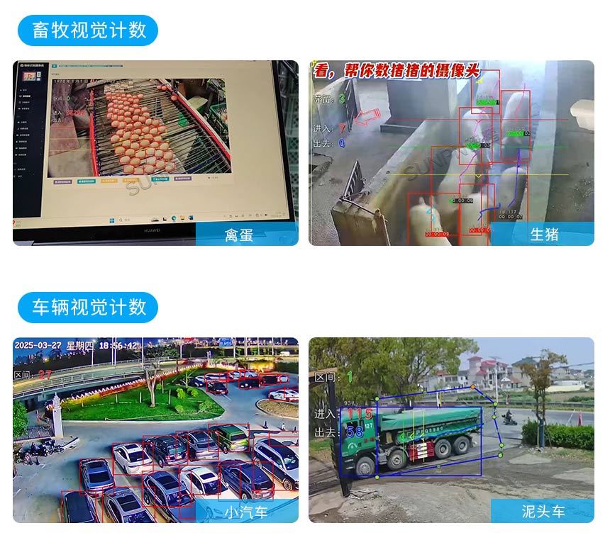 讯鹏AI视觉计数传感器-案例展示