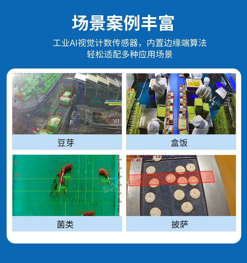 讯鹏AI视觉计数算法多场景适配