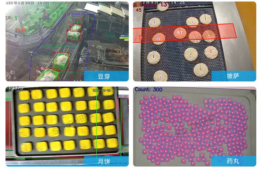 讯鹏AI视觉计数算法案例展示