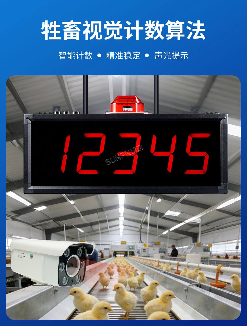 讯鹏AI视觉算法如何识别 讯鹏AI视觉算法如何识别